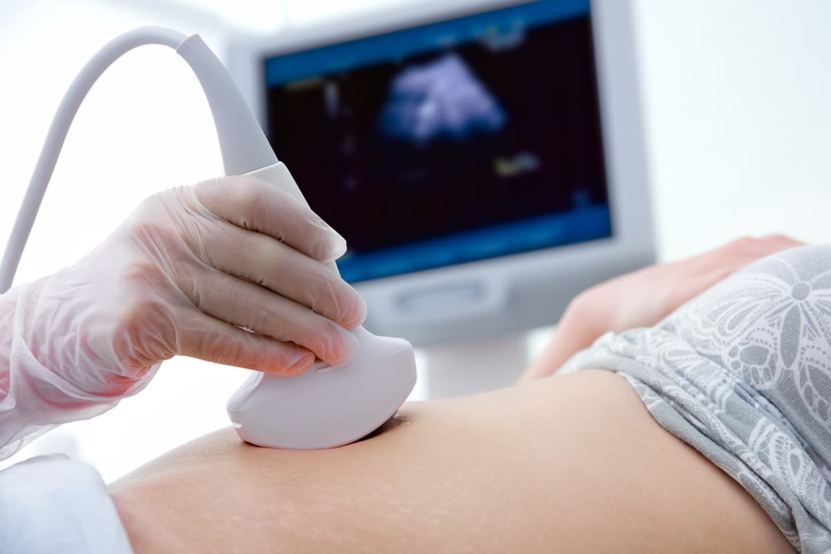 Ultrasound transducer scan with the diagnostic image on screen
